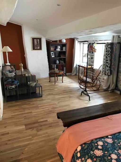 La Maison De Lea, Chambres D'Hotes De 14 Couchages Турню Экстерьер фото